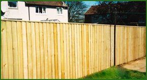 Timber fencing in a domestic garden