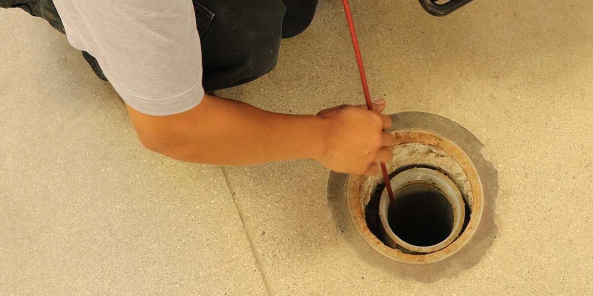 drain maintenance