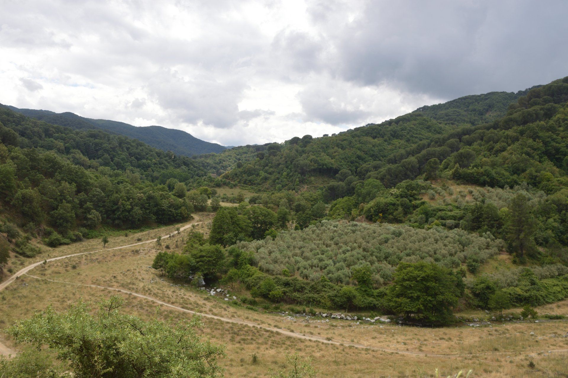Azienda Agricola F.lli Aversente terreno