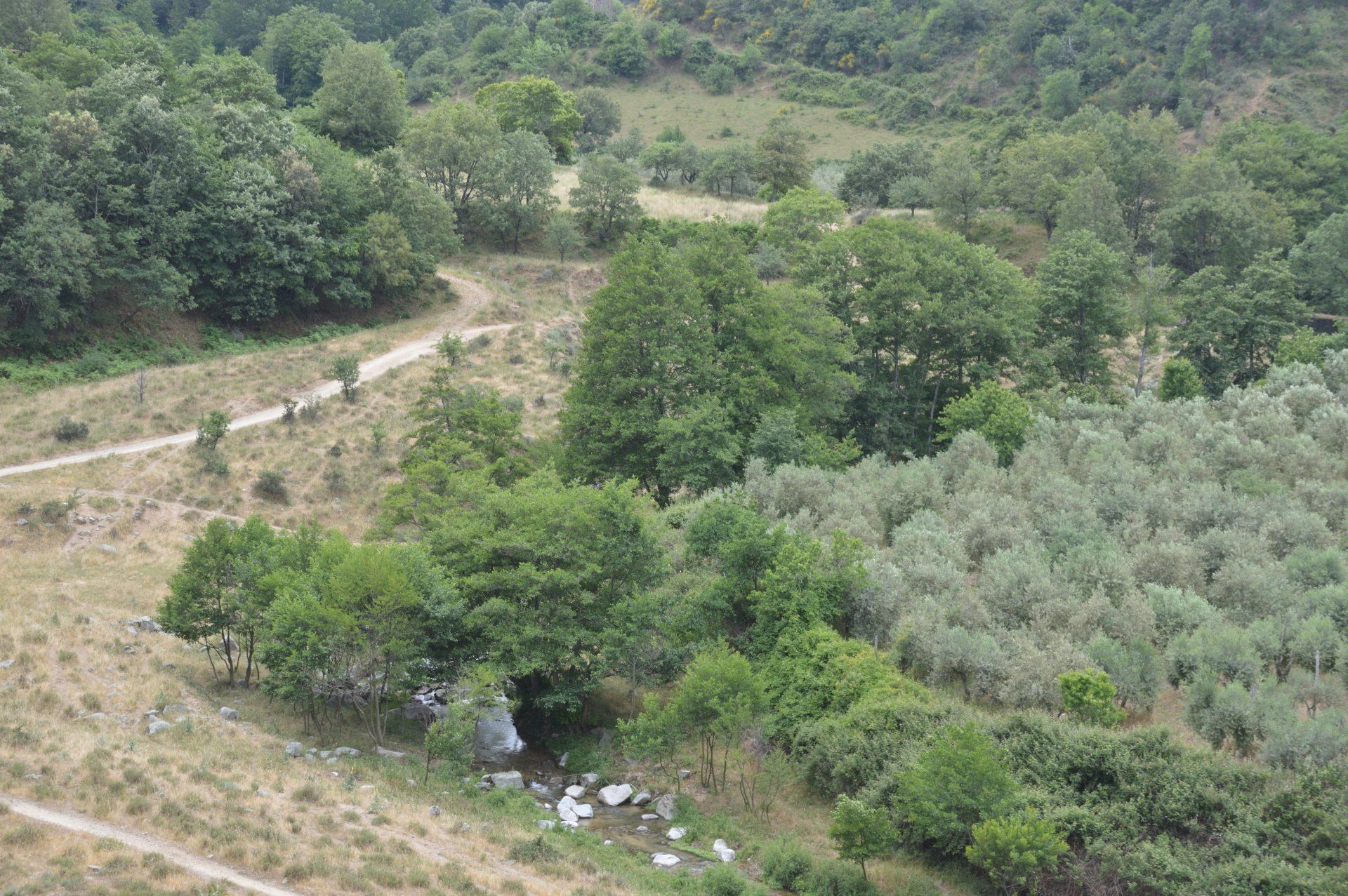 Azienda Agricola F.lli Aversente vista aerea