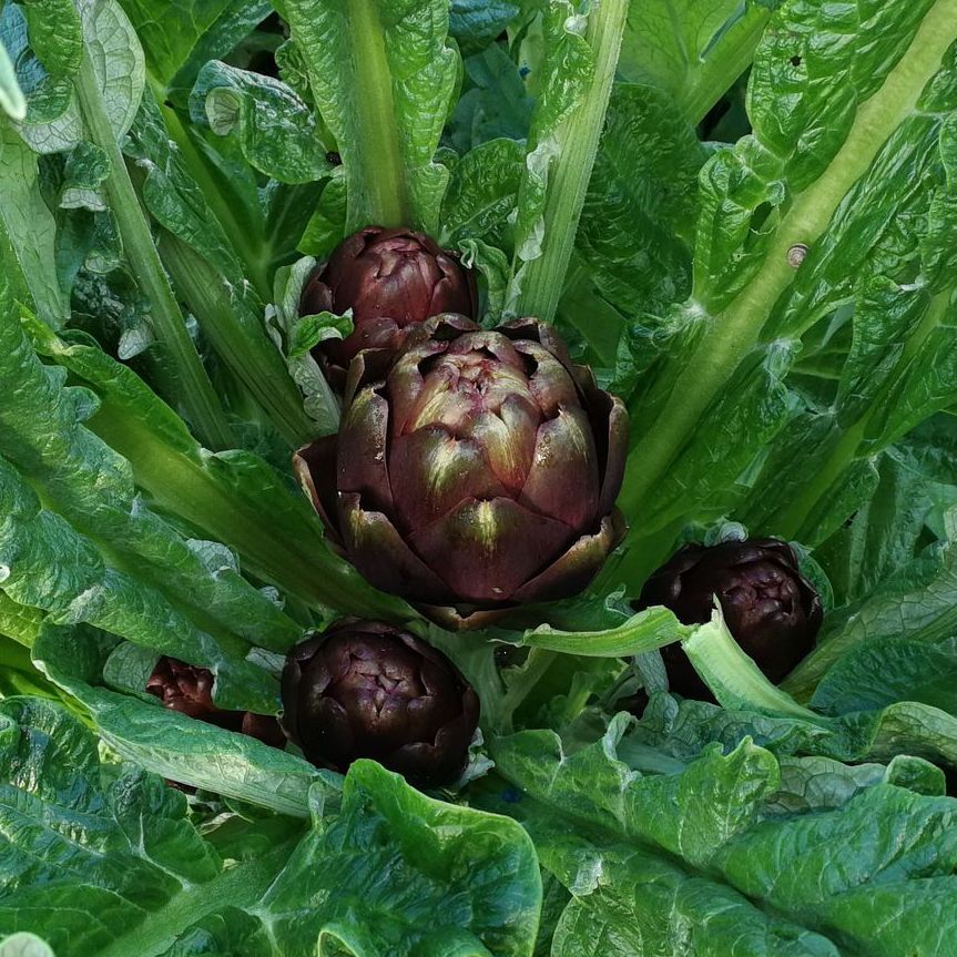 Consulenza di diritto penale