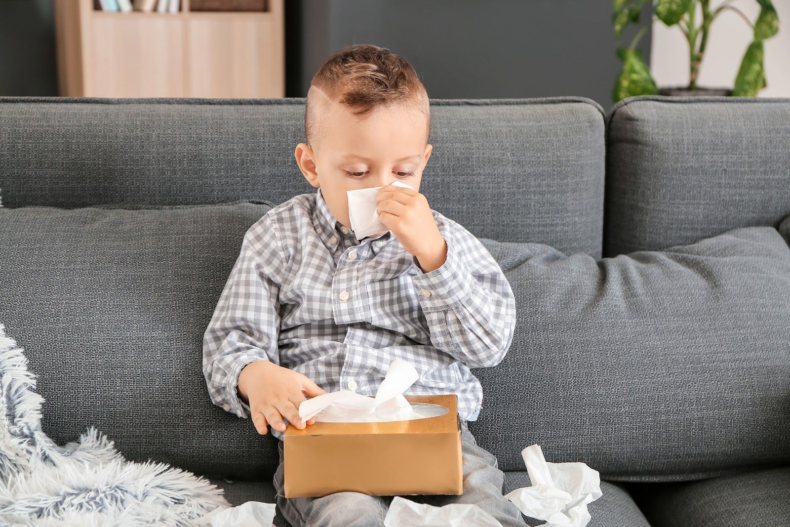 Boy on a sofa blowing his nose with a tissue. Brown tissue box, grey couch, indoor setting.
