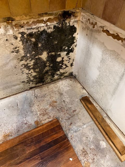 Mold Removal — North Carolina — Old North State Restoration