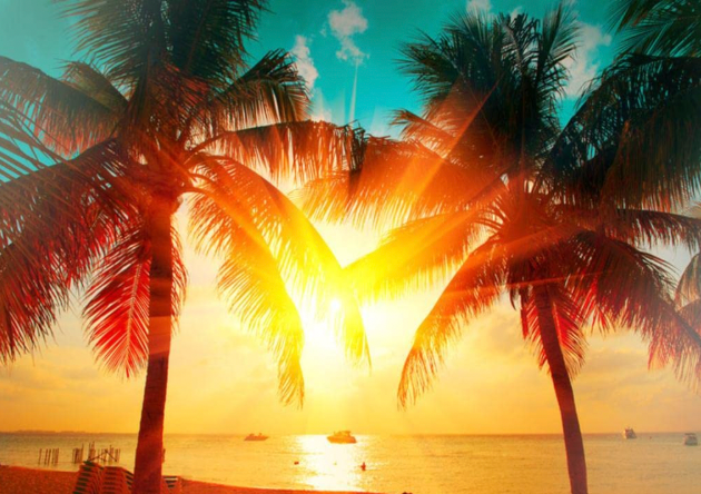 Palm trees frame a vibrant sunset over the ocean.