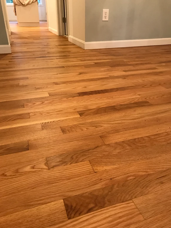 European Natural Oil Work 74