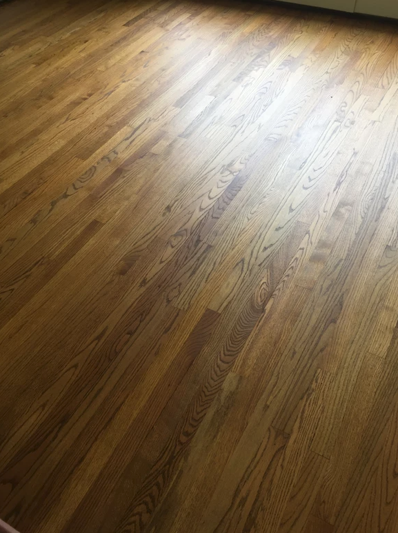 European Natural Oil Work 91