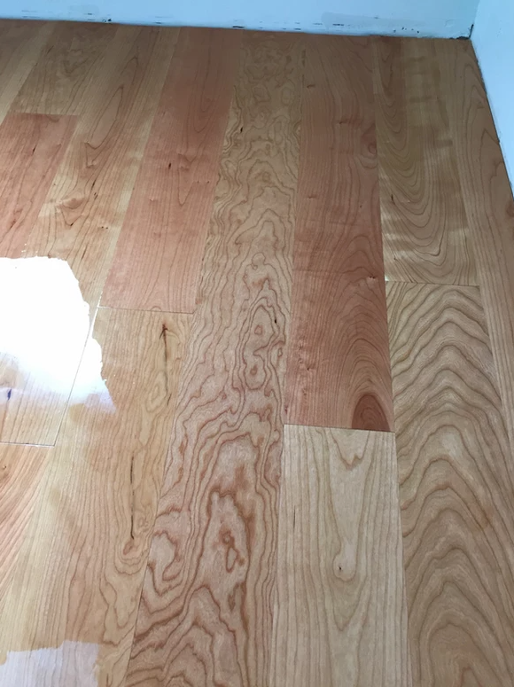 Stains & Finishes 16