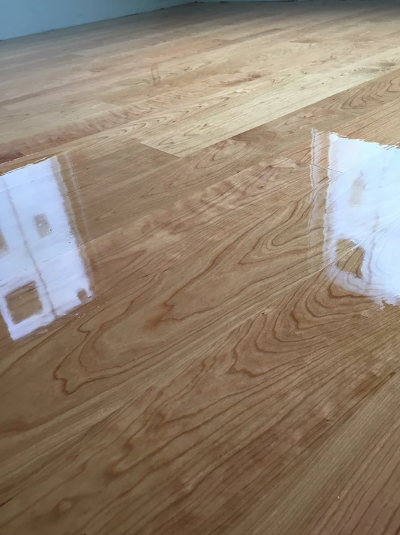 Stains & Finishes 20