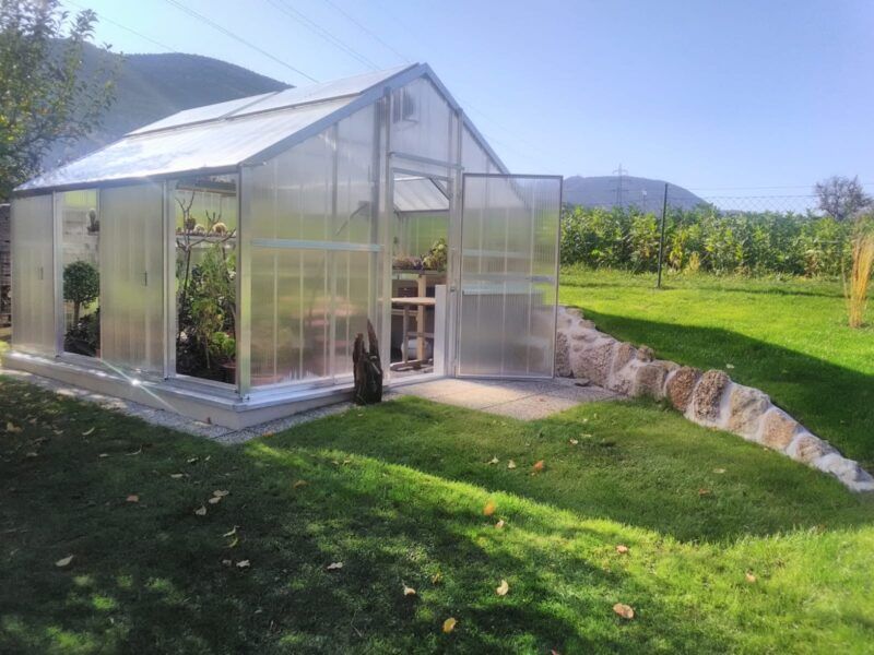 Gewächshaus mit offenen Türen an einem grasbewachsenen Hang, im Hintergrund eine Steinmauer und ein Weinberg.