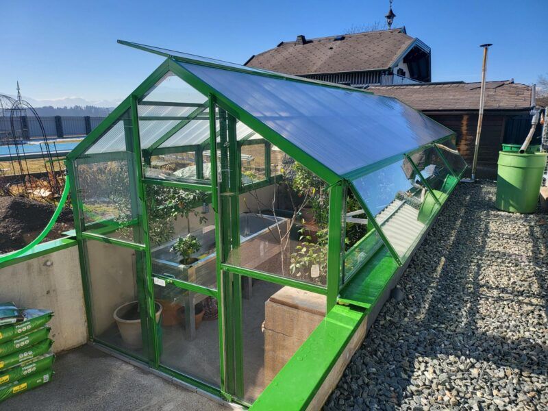 Gewächshaus mit offenem Dach auf einer Beton-Terrasse. Pflanzen im Inneren. Sonnige Lage im Freien.