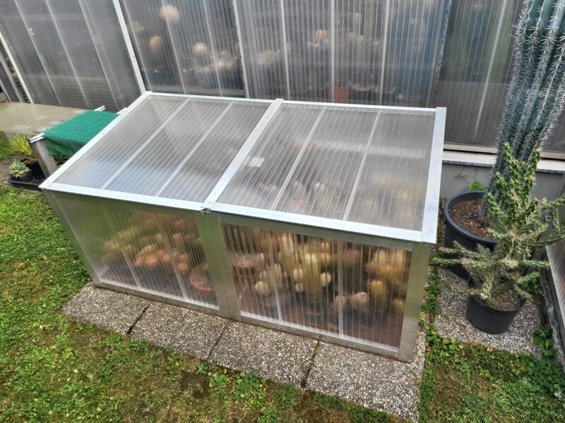 In einem grasbewachsenen Hof steht ein kleines Gewächshaus mit Topfpflanzen auf Betonblöcken.