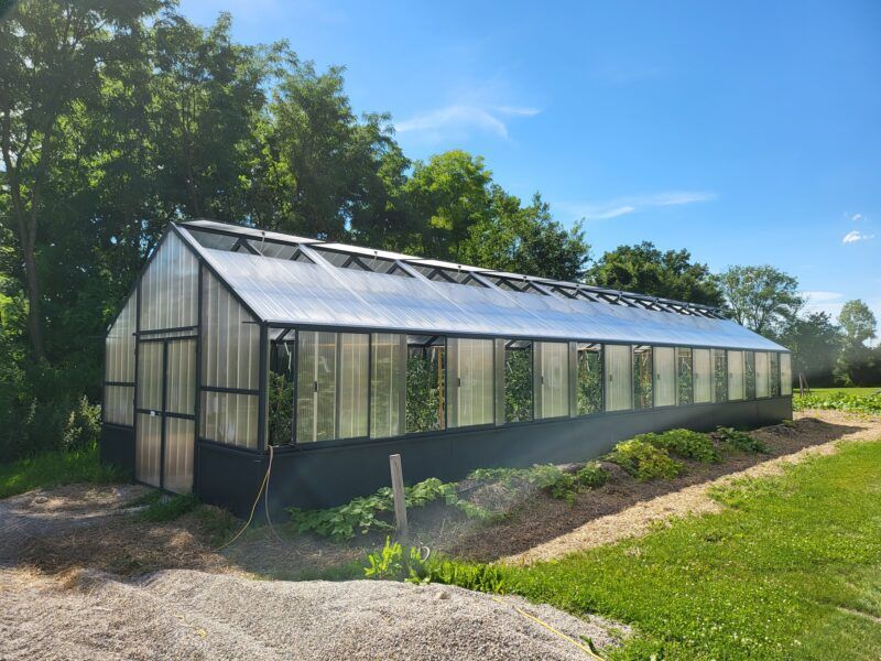 Langes, schwarzgerahmtes Gewächshaus mit transparentem Dach und Seitenwänden, errichtet auf einem Erdwall in einem sonnigen, grünen Feld.