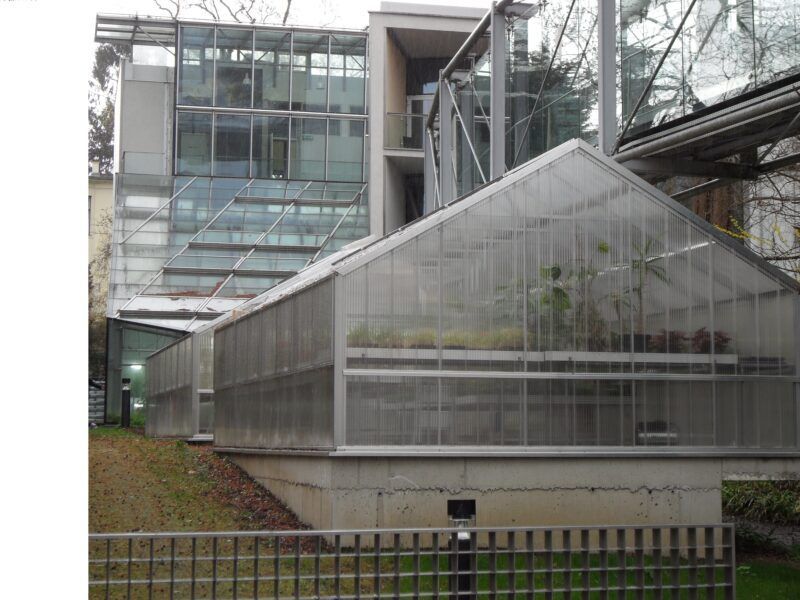 Gewächshaus mit Glaswänden, an ein Gebäude angebaut, Pflanzen im Inneren sichtbar; Außenansicht.