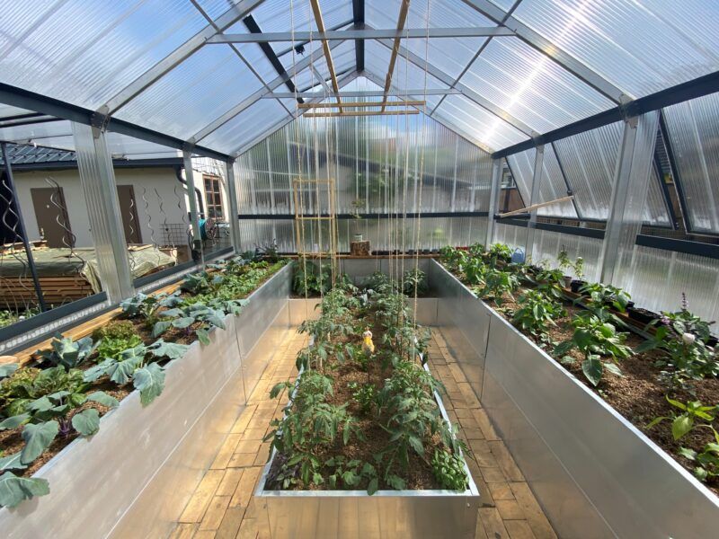 Gewächshausinnenraum mit Hochbeeten und wachsenden Pflanzen.