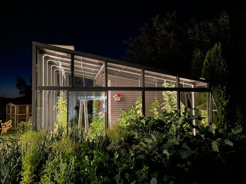 Gewächshaus bei Nacht beleuchtet, Pflanzen im Inneren sichtbar, umgeben von Laub.