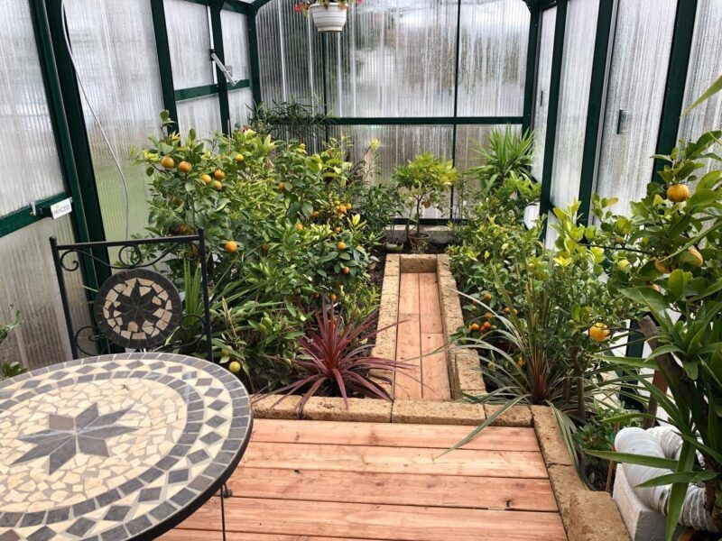 Gewächshaus-Interieur mit Zitrusbäumen, Mosaiktisch und Holzsteg.