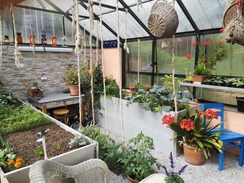 Das Gewächshausinnere ist mit Pflanzen gefüllt und verfügt über einen Pflanztisch und Hochbeete.