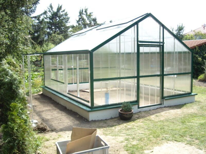 Gewächshaus mit transparenten Paneelen und grünem Rahmen in einem grasbewachsenen Hinterhof.