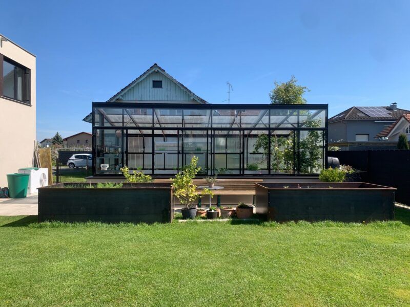 Ein Gewächshaus mit schwarzem Rahmen, Pflanzen, zwei rechteckige Pflanzgefäße und eine Rasenfläche unter klarem, blauem Himmel.