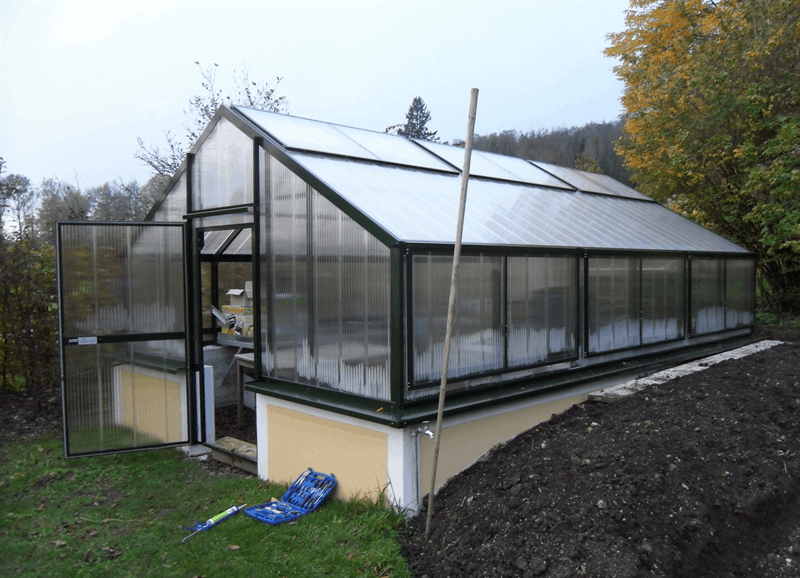 Gewächshaus mit offener Tür auf Betonfundament, eingebettet in einen Garten mit umliegenden Bäumen.