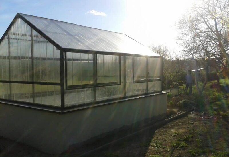 Gewächshaus mit transparentem Dach und Fenstern, in einem sonnigen Garten gelegen.