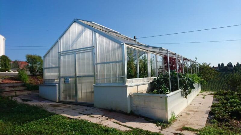 Gewächshaus mit Hochbeeten für den Pflanzenanbau unter klarem, blauem Himmel.