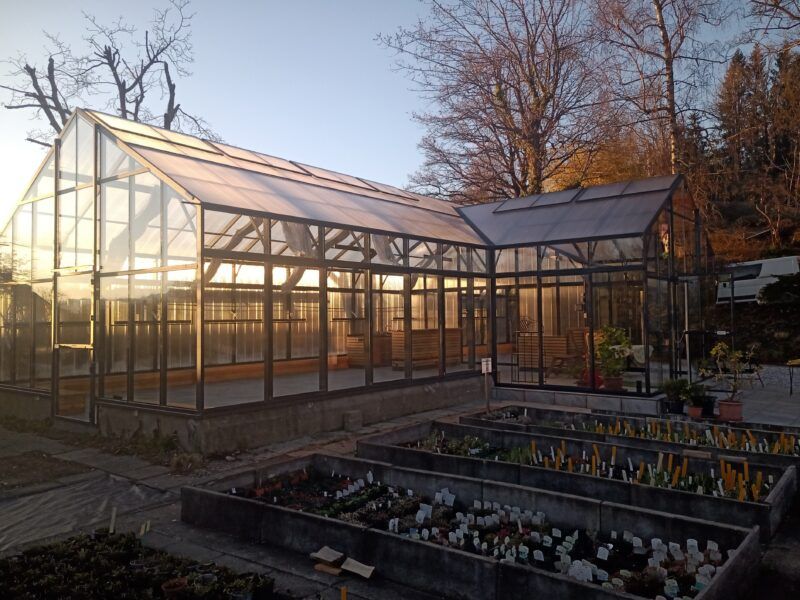 Ein großes Glasgewächshaus, durch das Sonnenlicht scheint, umgeben von Freilandbeeten.
