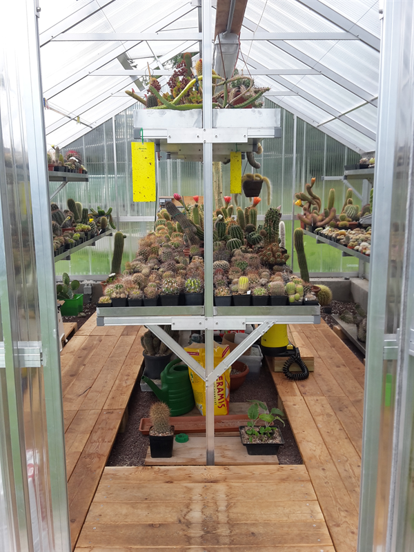 Doppelkonsole für Mittelsteher