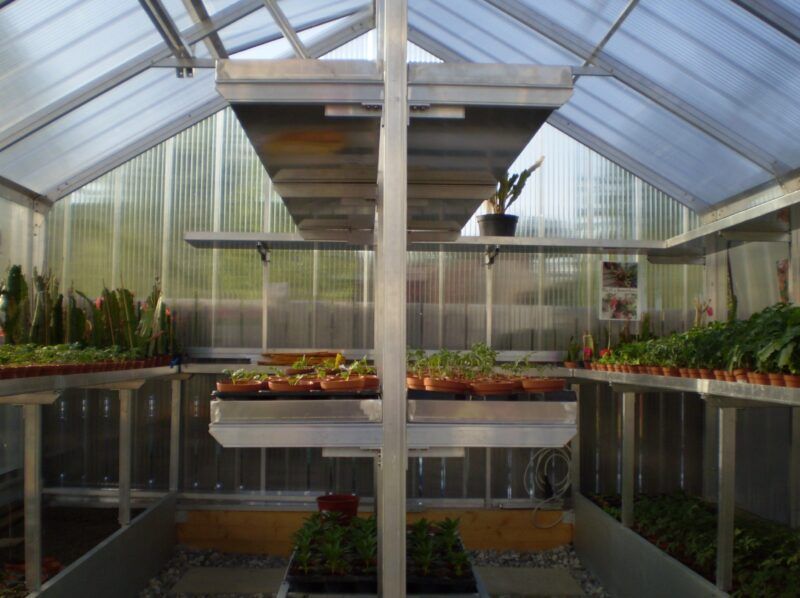 Innenansicht eines Gewächshauses mit Pflanzen auf Regalen und Deckenbeleuchtung.