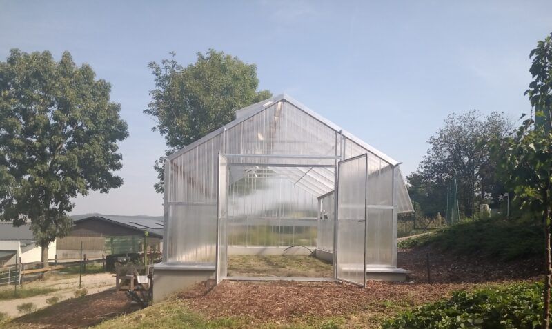 Ein lichtdurchflutetes Gewächshaus mit offenen Türen in sonniger Lage im Freien.