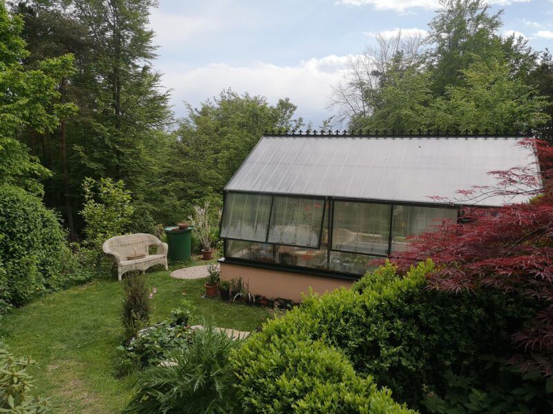 Gewächshaus in einem üppigen Garten mit einer weißen Bank, umgeben von Bäumen und Pflanzen.