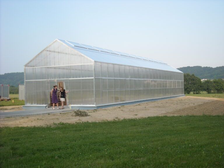 Großes, rechteckiges Gewächshaus mit zwei Personen am Eingang, auf einer Rasenfläche gelegen.