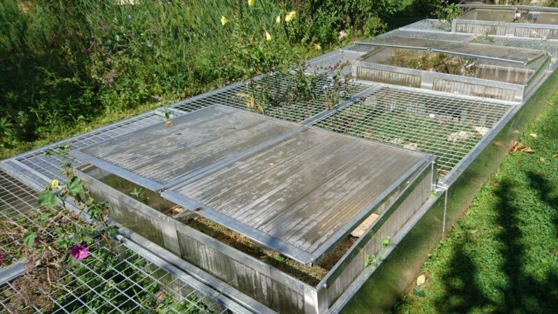 Rechteckige Außengehege mit Metallrahmen, die mit Maschengewebe und lichtdurchlässigen Deckeln bedeckt sind, stehen inmitten von Gras und Vegetation.