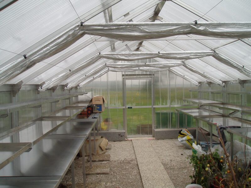 Innenansicht eines Gewächshauses mit transparentem Dach und Seitenwänden, Bänken und einem zentralen Eingang.