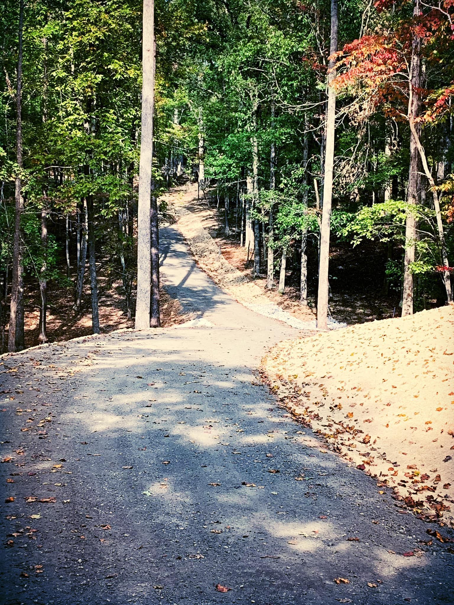 Gravel path winding uphill through a forest. Trees with green and fall foliage frame the trail.