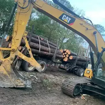 Yellow CAT excavator loading logs onto a truck in a muddy, outdoor setting.