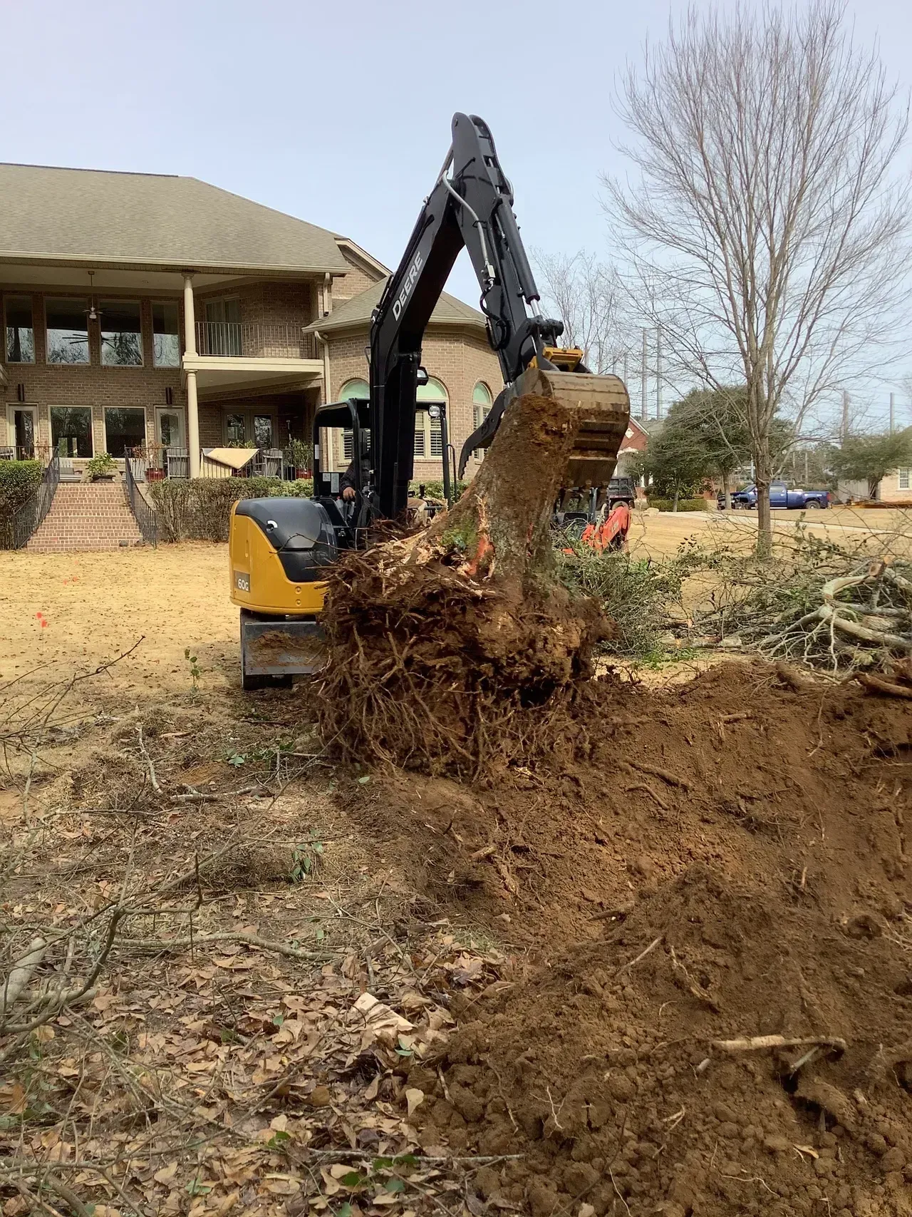Excavator removing tree roots in a yard, house in background.