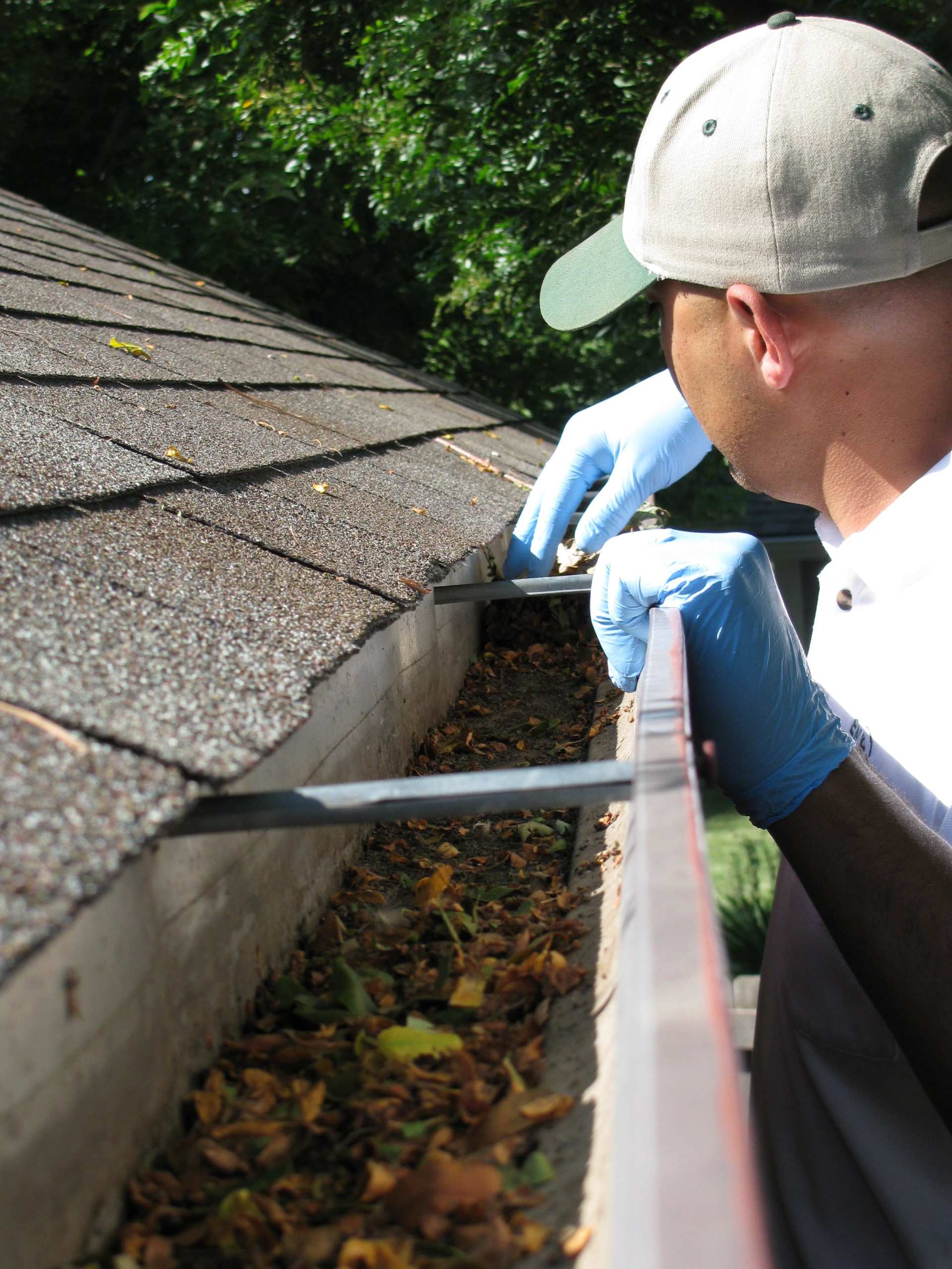 Home Pest Control EnviroPest Pest Control Exterminator In Colorado