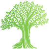 Total Care Tree Specialists