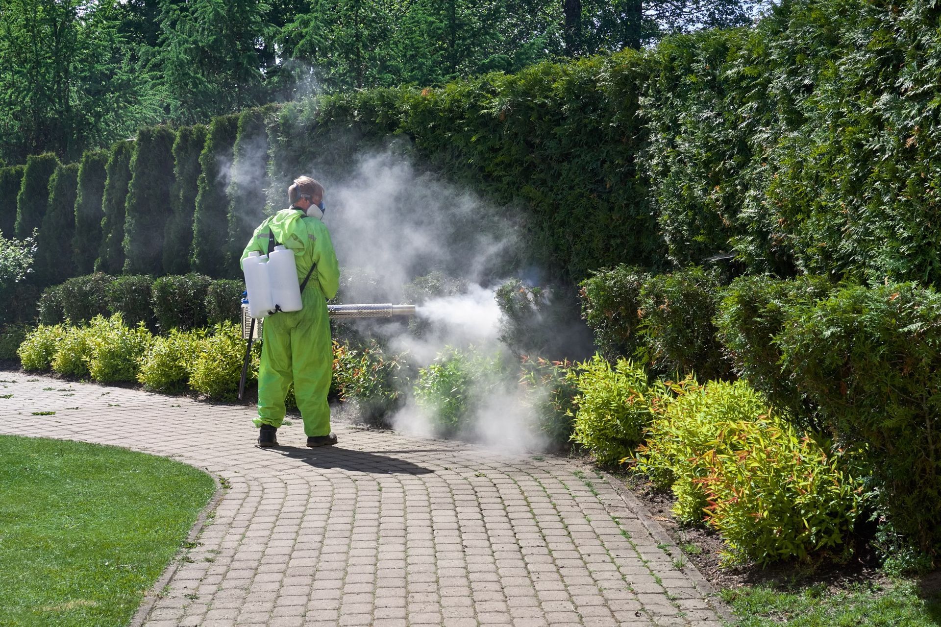 Man in green protective suit spraying pesticide on bushes in a garden.