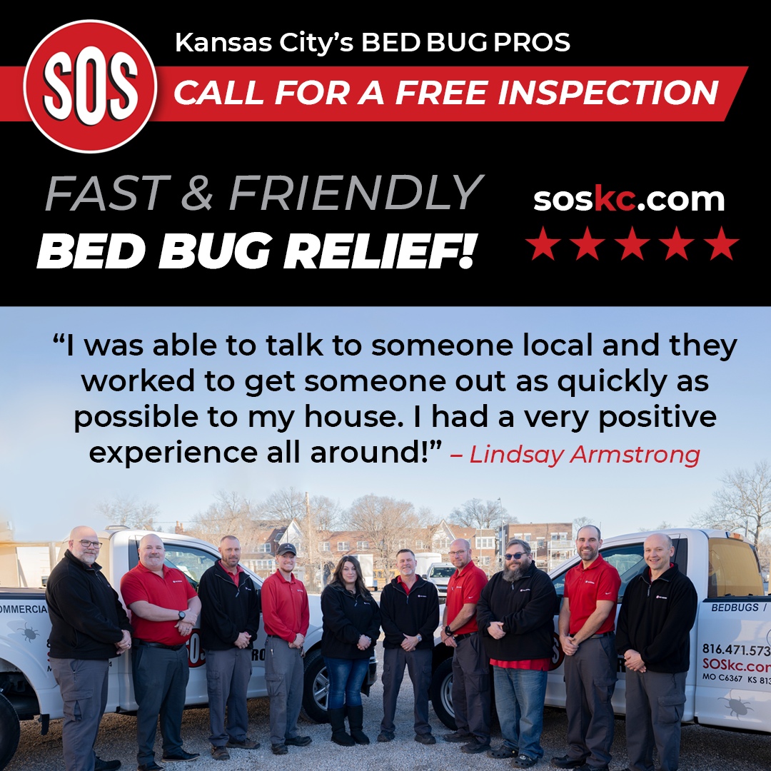 Bed bug relief ad. SOS logo, call for free inspection. Team photo with trucks, customer quote, positive review.