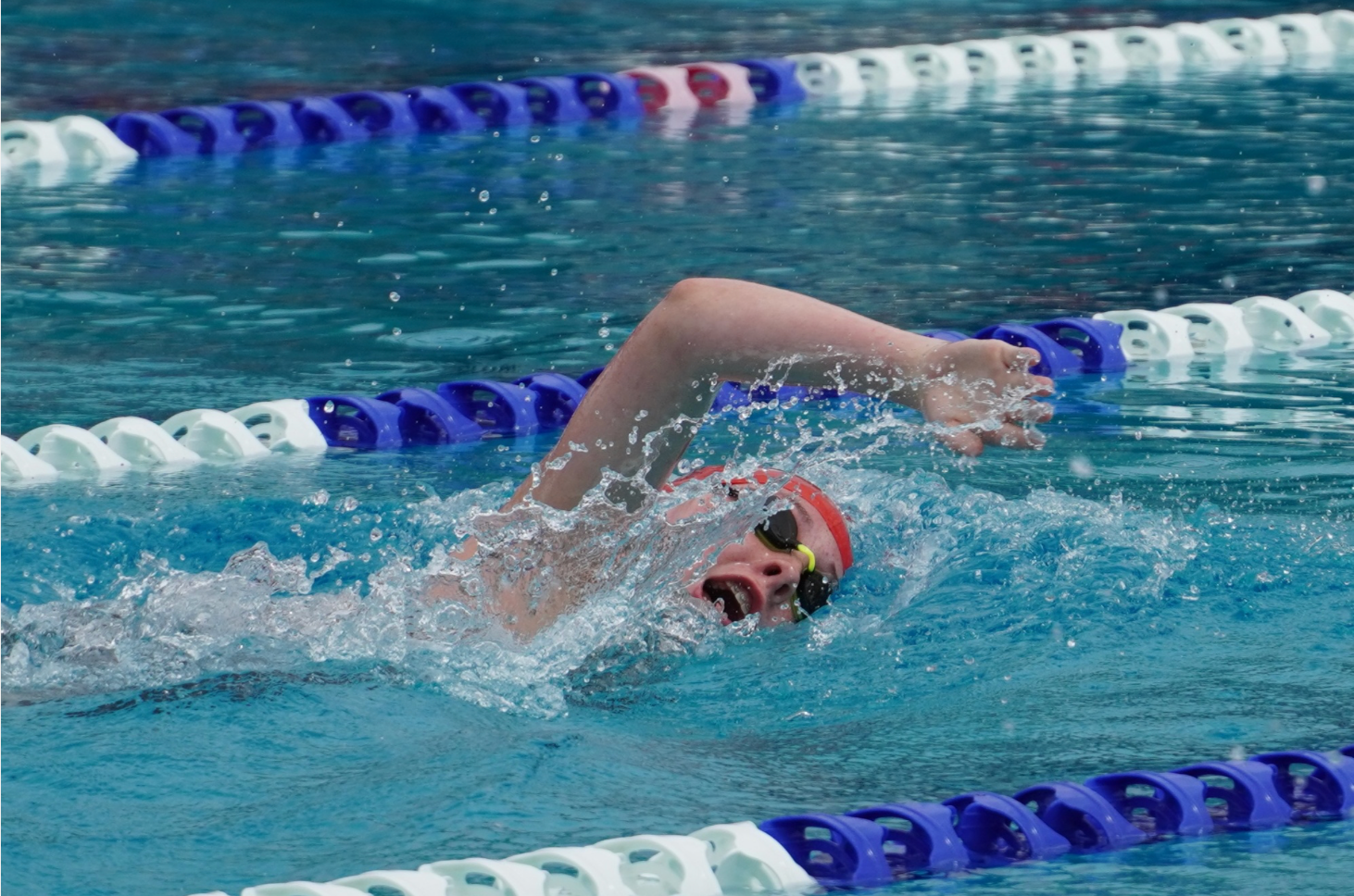 A swimmer focuses on their freestyle stroke in the water.