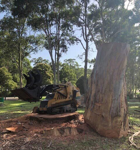 Stump Grinding being completed — Tree Services on the Central Coast, NSW