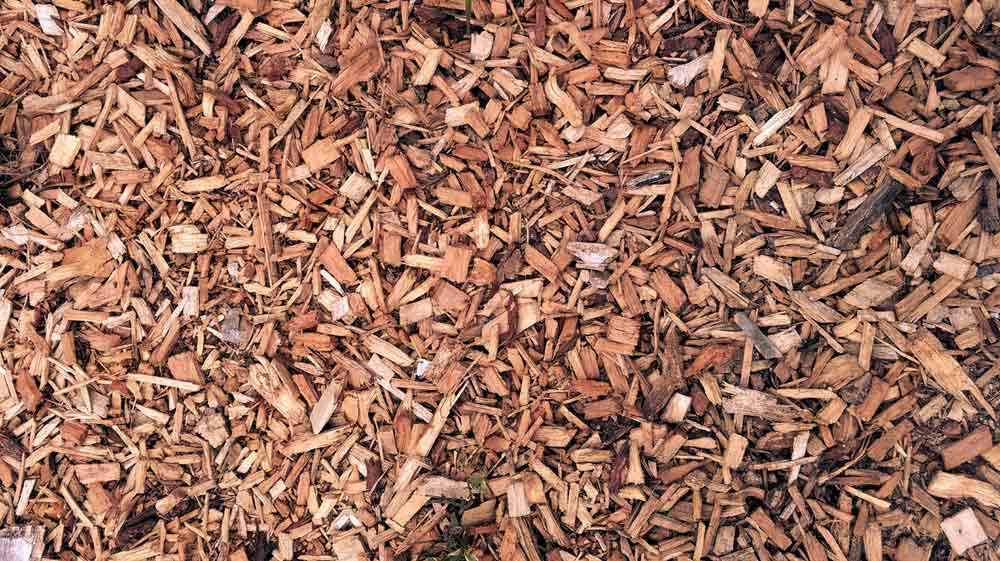 Mulch — Tree Services on the Central Coast, NSW