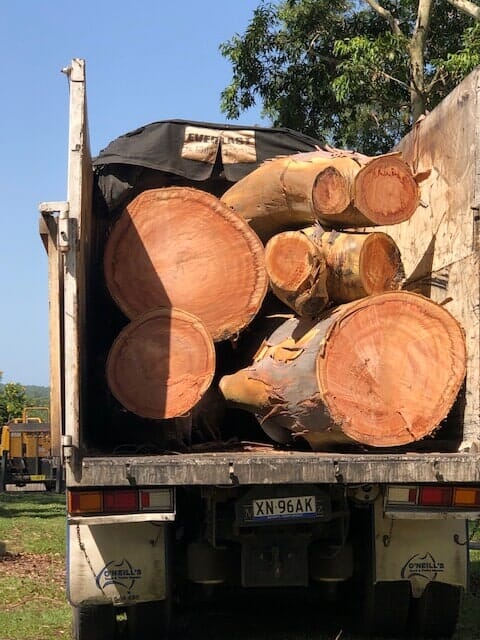 Wood on Trucks — Tree Services on the Central Coast, NSW