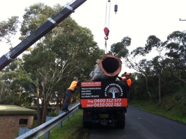 Stump Removal — Stump Grinding Central Coast, NSW