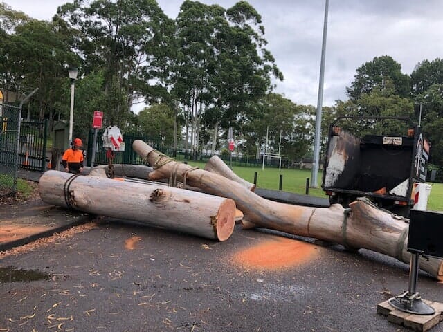 trees being cut to small sizes by arborist in central coast to transport in truck