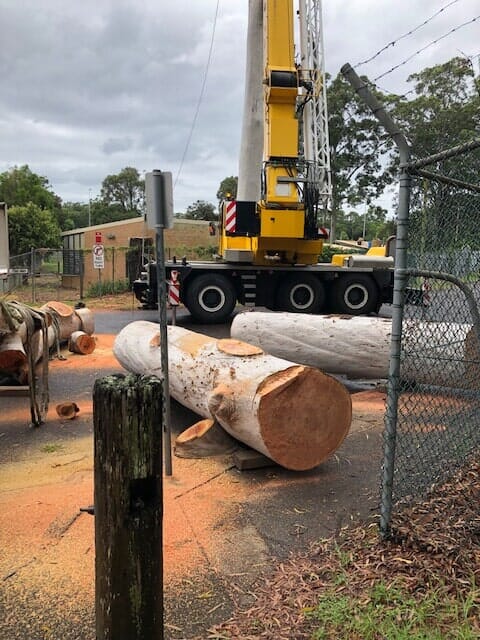 Several tree trunks being put down by telehandler in central coast