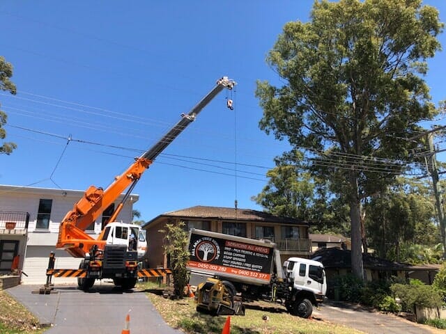 Equipment for Tree Services — Tree Services on the Central Coast, NSW