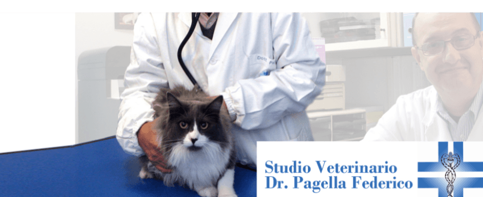 Studio Veterinario Dottor Pagella Federico Rapallo (GE)